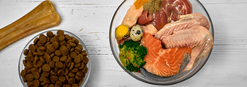 Hypoallergenes Hundefutter