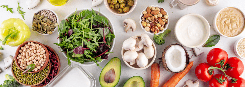 vegane ernärhung hund alternative