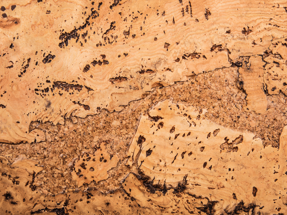 Kork ist nachhaltig und umweltfreundlich