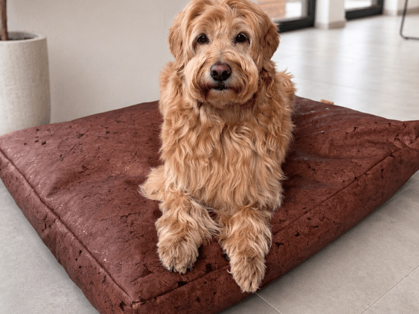 Kork Hundekissen